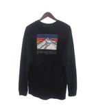 ロングスリーブ ライン ロゴ リッジ レスポンシビリティー Tシャツ カットソー 長袖 クルーネック STY38517 黒 ブラック M