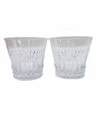 バカラ Baccarat ティアラ ロックグラス 2021年 イヤータンブラー ペア 2客 食器