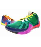 ナイキ NIKE ZOOM FREAK 1 MULTI 2019 28cm CT8476-800 ズーム フリーク I マルチカラー バッシュ ヤニス アデトクンボ シグネチャー 【ブランド古着ベクトル】【中古】▲■260109