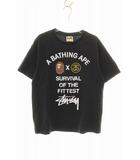 × STUSSY SURVIVAL OF THE FITTEST TEE BLACK M ステューシー コラボ Tシャツ プリント 半袖 ブラック 【ブランド古着ベクトル】【中古】260428