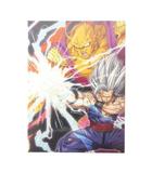  美品 ドラゴンボール 超 スーパーヒーロー DVD 特別限定版 アニメ マルチカラー