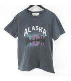 レミレリーフ REMI RELIEF ALASKA  USEDヴィンテージ加工 半袖 Tシャツ カットソー L 灰系 グレー 日本製 プリント タグ付