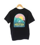 ハレイワ限定 24AW REEF WINDS RESPONSIBILI TEE リーフウィンズレスポンシビリティTシャツ 半袖 クルーネック ロゴ イラスト プリント XS 黒 ブラック タグ付き /BB