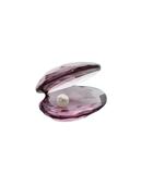 スワロフスキー SWAROVSKI Shell with Pearl 置物 貝 紫 パープル 5526147 /AN28