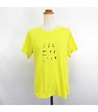 1104890 Tシャツ カットソー 半袖 クルーネック ウィックロン 登山 イラスト L イエロー ※EKM