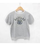 チャンピオン CHAMPION スウェット Vintage Vanjac ヴァン別注 半袖 丸首 カレッジプリント スウェット USA製 トリコロールタグ グレー M