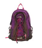ザノースフェイス THE NORTH FACE ジェスター JESTER リュックサック バックパック ロゴ刺繍 紫 パープル /JS ■GY03