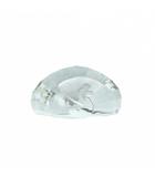 スワロフスキー SWAROVSKI 2015年SCS会員限定 置物 ペーパーウエイト ピーコック クリア /MI ■OS