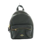 コーチ COACH ミニチャーリー バックパック レザー グレー /SS ■OS