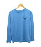 パタゴニア Patagonia ロンT Tシャツ カットソー 長袖 プリント M 水色 45296