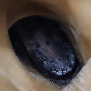 ウエスコ WESCO 90周年 ボス レザー エンジニアブーツ 8 1/2E(26.5cm