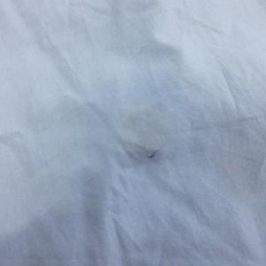 バーバリー BURBERRY コットン シャツ ブラウス 長袖 プリント ロゴ ブルー 34 ■ECT レディース