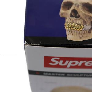 シュプリーム SUPREME 23AW 4D MASTER 4D HUMAN ANATOMY MODEL