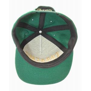 シュプリーム SUPREME 18AW GLOBAL 5-PANEL CAP GREEN グローバル 5パネル キャップ ロゴ 刺繍 グリーン 緑 【ブランド古着ベクトル】【中古】☆AA★▲ 250516 メンズ