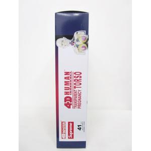 シュプリーム SUPREME 18AW Female Anatomy Model 人体模型 ヒューマン