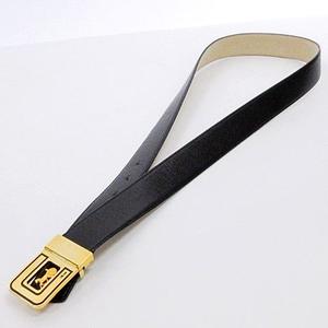 セリーヌ黒レザー金色バックルベルト CELINE セリーヌ ベルト ブラック ゴールド トリオンフ レザー vintage