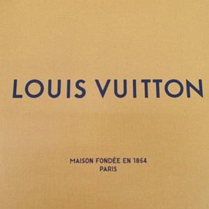 ルイヴィトン LOUIS VUITTON 2枚セット 紙袋 ショッパー