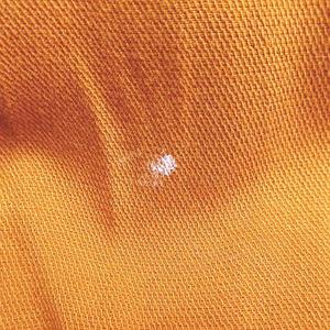 ザラ ベーシック ZARA BASIC トレンチコート ロング丈 薄手 M オレンジ系 ボタン 無地 レディース