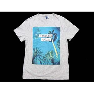 エイチ エム H M Tシャツ カットソー 半袖 丸首 英字 風景 プリント グレー M メンズ 0 ベクトルパーク