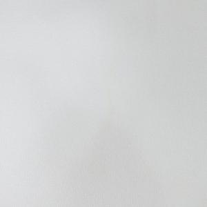 プラダ PRADA 2018 フリル ポロシャツ カットソー ロゴ パッチ バイカラー 切替 半袖 国内正規 Tシャツ 36 約XS 緑 白 グリーン ホワイト 系 ■MNK2 1030 レディース