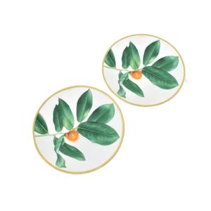 未使用品 エルメス HERMES パシフォリア Passifolia コレクション パンプレート 食器 緑 グリーン その他