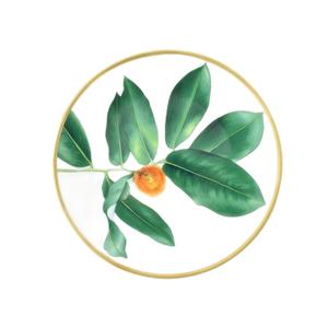 未使用品 エルメス HERMES パシフォリア Passifolia コレクション パンプレート 食器 緑 グリーン その他