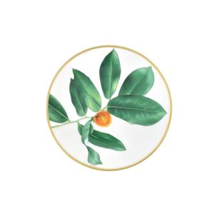 未使用品 エルメス HERMES パシフォリア Passifolia コレクション パンプレート 食器 緑 グリーン その他